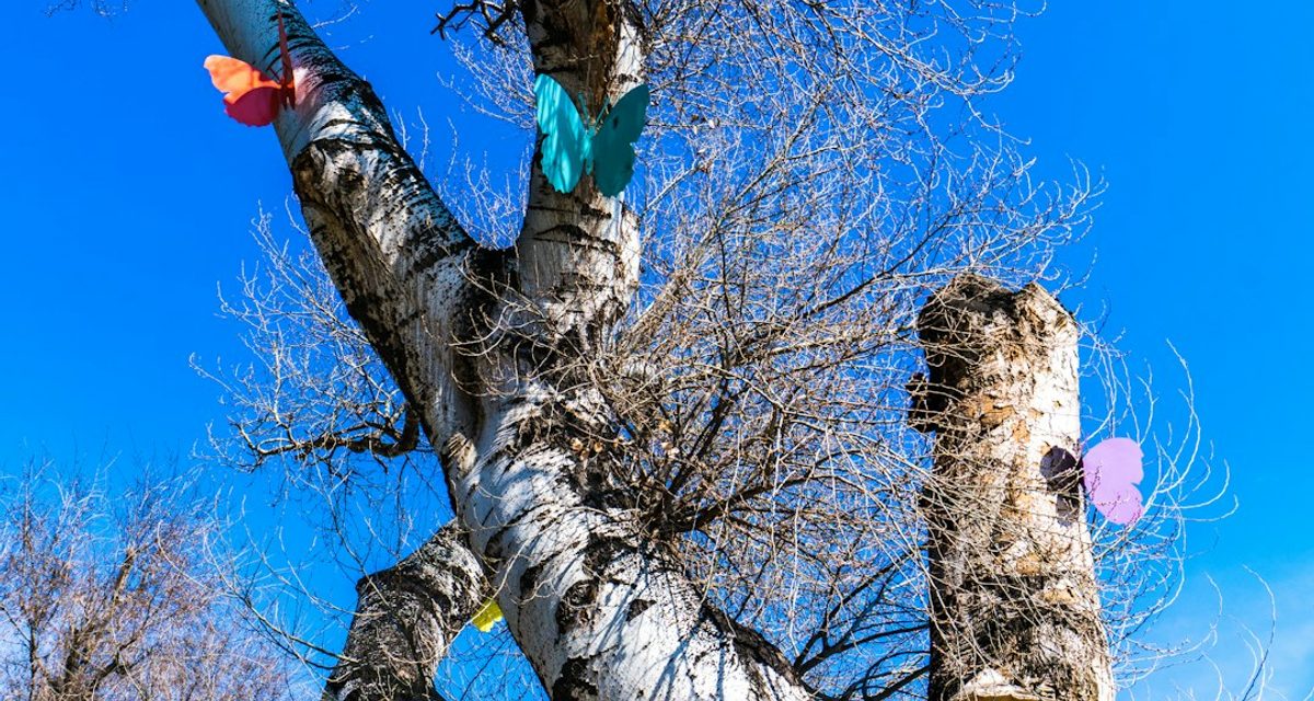 В Томске поставят спектакль с берестяными куклами о блаженной Домне