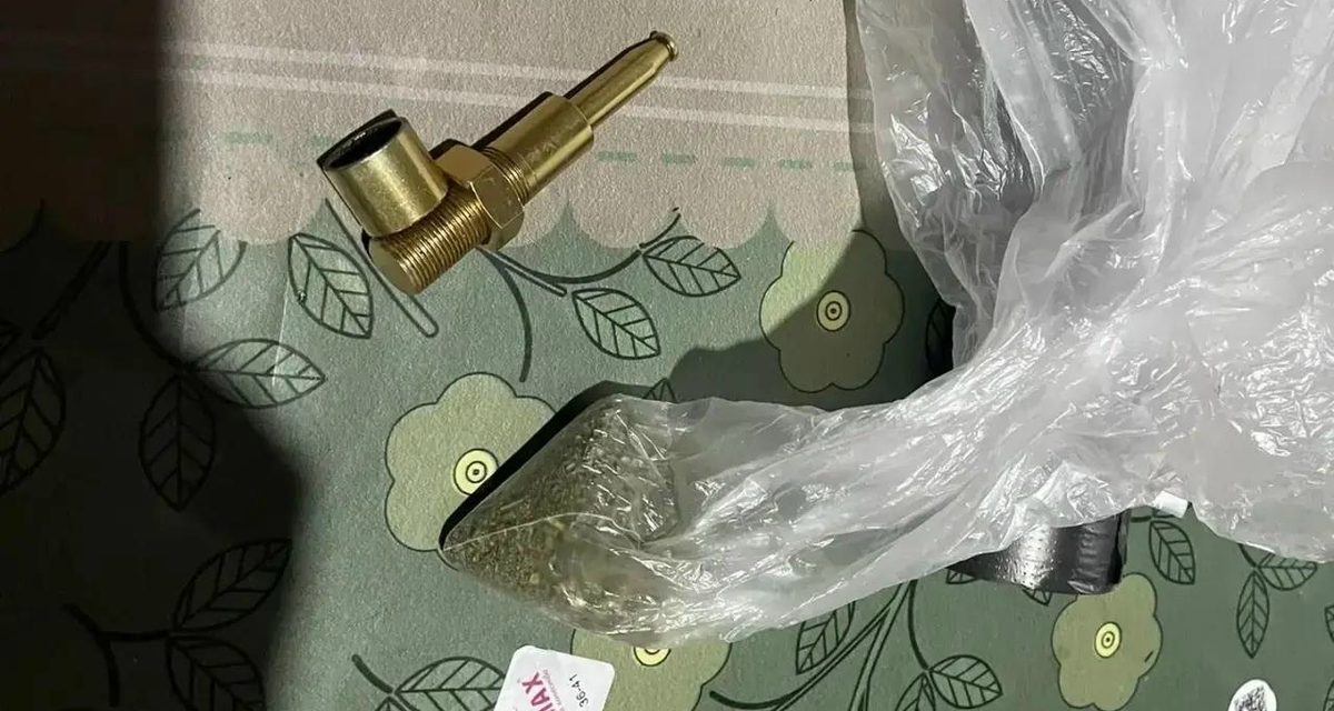 Житель Тогура нашёл дикорастущую коноплю и хранил дома 430 граммов марихуаны